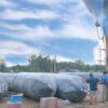 Túi khí hạ thủy Nam Long D1,5m